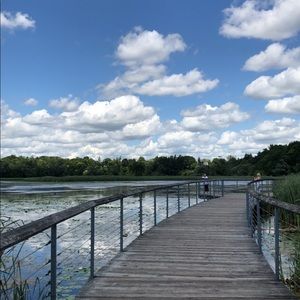 Meet your Posher, Gordon